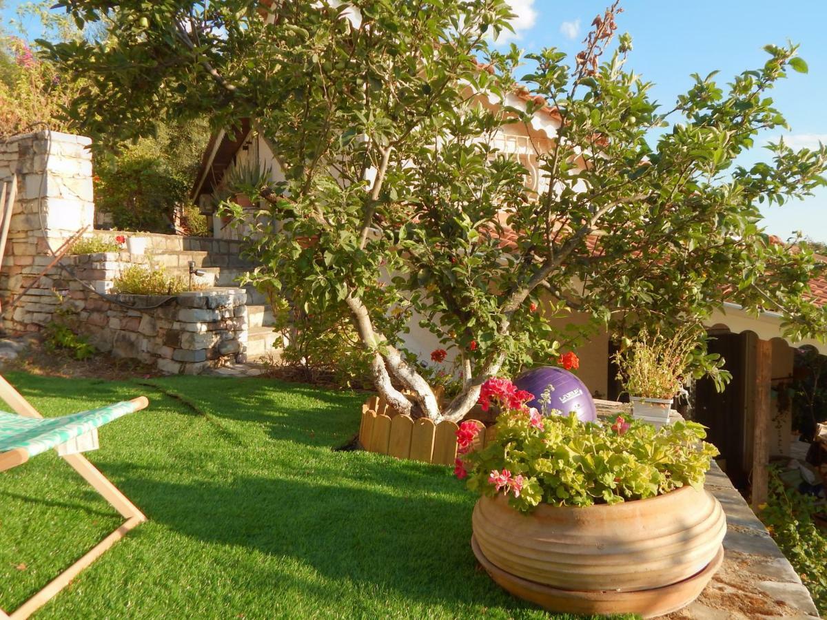 Palmina Mare Villa And Studios Paralia Vrachou Exterior photo